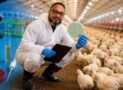 Practical Poultry Bacteriology