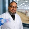 Practical Poultry Virology for Farmers & Vets”)