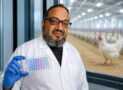 Practical Poultry Virology for Farmers & Vets”)