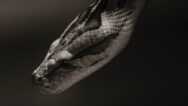 Practical Python