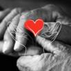 Practical Tips for Family Caregivers