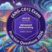 Practice Test For AWS ANS-C01 Exam 2026