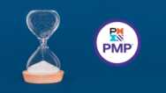 Practice Test for PMI PMP Practice Test Questions – 06 Sets