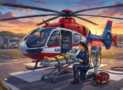Practice Tests 2026 For FP-C / CCP-C Flight Paramedic