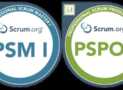 Practices Exams: Scrum Master & Product Owner (PSM1 & PSPO1)