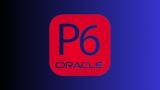 Primavera P6 For Beginners