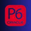 Primavera P6 For Beginners
