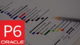 Primavera P6 Training Course for Beginners – English