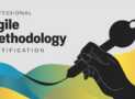 Professional Agile Methodology Certification