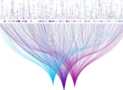 Professional Certificate of IBM SPSS Statistics Expert