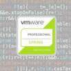 Professional Develop VMware Spring Exams