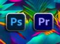 Professional Project Based Graphics Design & Video Editing