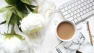 Professional VA and Marketing Training Introduction