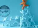 Program Management Professional Practice Exam 2024