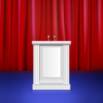 Public Speaking: C-Level Executive Public Speaking Skills