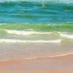 Purify Life:  Guide to Chemical-free Natural Living