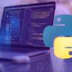 Python para Profesionales. Mejora tu Desarrollo.