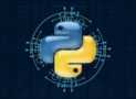 Python Programming: A Step-by-Step Programming Course