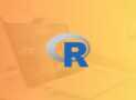 R Programming: De Principiante a Avanzado