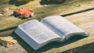 Read Through The Book Of 2 Samuel