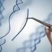 Recombinant DNA Technology & Genetic Engineering