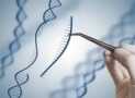 Recombinant DNA Technology & Genetic Engineering
