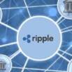 Ripple development and training suit – Part 2