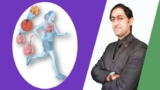 SAAT Biology: Advanced Revision to Human Systems