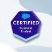 Salesforce Certified Business Analyst Exam: 6 Practice Tests
