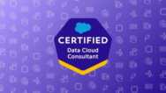 Salesforce Certified Data Cloud Consultant Practice Exams