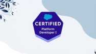 Salesforce Certified Platform Developer 1: Practice Exams