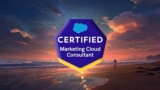 Salesforce Marketing Cloud Consultant Practice Tests