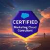Salesforce Marketing Cloud Consultant Practice Tests