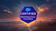 Salesforce Marketing Cloud Consultant Practice Tests