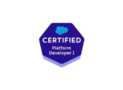 Salesforce PD1 Certification Practice Tests 2026 Pro