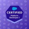 Salesforce Platform Developer I Practice exams 2025