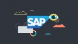 Sap Erp: Become An Sap S4 Hana Consultant – Lite