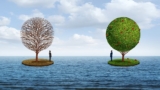 Scarcity To Abundance