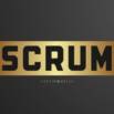 Scrum Master Certification (PSM1) Practice Tests