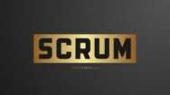Scrum Master Certification (PSM1) Practice Tests