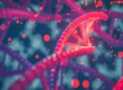 Secrets of DNA and Its Manipulation