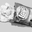 Secrets Of Photo Realistic Drawings With Paintology