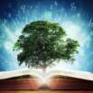 Secrets Of Wisdom (law Of Attraction)