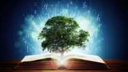 Secrets Of Wisdom (law Of Attraction)