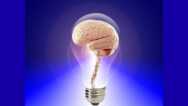 Secrets To Increase Memory And Retention 10 Times