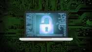 Security Awareness Campaigns (lite)