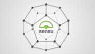 Sensu – Introduction