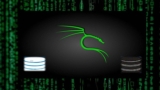 Setting Up Web Server,sql Injection And Prepared Statements