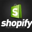 Shopify for Beginners Start First Profitable Store in 1 day