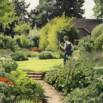 Simplified Low Maintenance Landscaping
